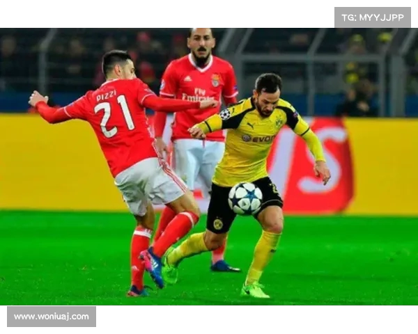 德甲联赛VAR规则全面解析与应用实践分析